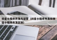 抖音小程序開發(fā)與運(yùn)營(yíng)（抖音小程序開發(fā)和微信小程序開發(fā)區(qū)別）