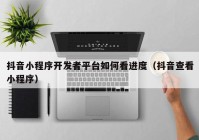 抖音小程序開發(fā)者平臺如何看進度（抖音查看小程序）