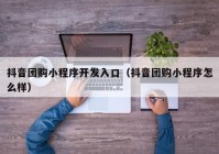 抖音團(tuán)購小程序開發(fā)入口（抖音團(tuán)購小程序怎么樣）