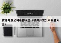 軟件開(kāi)發(fā)公司名稱(chēng)大全（軟件開(kāi)發(fā)公司取名大全）