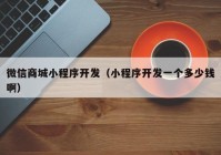 微信商城小程序開發(fā)（小程序開發(fā)一個多少錢?。? /></a>
		</div>
		<div   id=