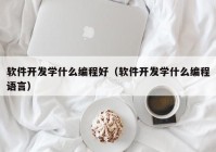 軟件開發(fā)學(xué)什么編程好（軟件開發(fā)學(xué)什么編程語(yǔ)言）