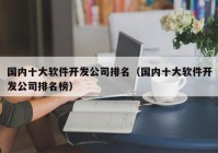 國內十大軟件開發(fā)公司排名（國內十大軟件開發(fā)公司排名榜）