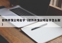 軟件開發(fā)公司名字（軟件開發(fā)公司名字怎么?。? /></a>
		</div>
		<div   id=