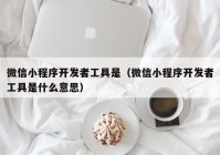微信小程序開(kāi)發(fā)者工具是（微信小程序開(kāi)發(fā)者工具是什么意思）