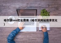 哈爾濱seo優(yōu)化費用（哈爾濱網(wǎng)站搜索優(yōu)化）