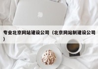 專業(yè)北京網(wǎng)站建設公司（北京網(wǎng)站制建設公司）